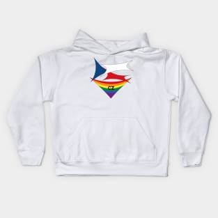 Czech Republic pride flag Kids Hoodie